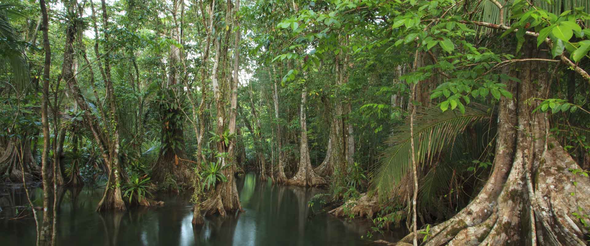 Osa Peninsula